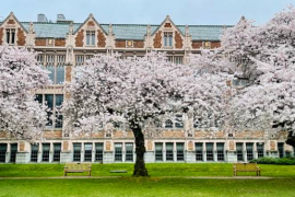 University of Washington