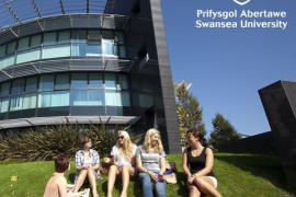 Swansea University