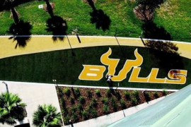 University of South Florida